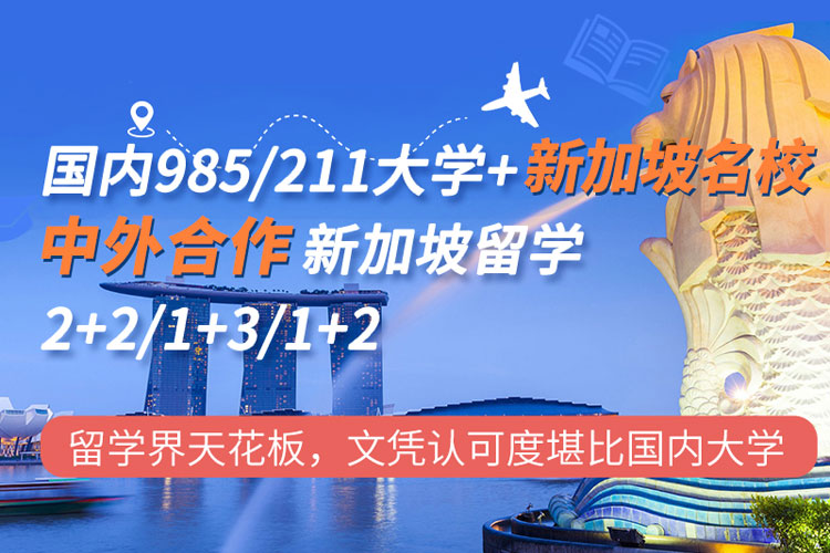 中外合作新加坡留学好吗？