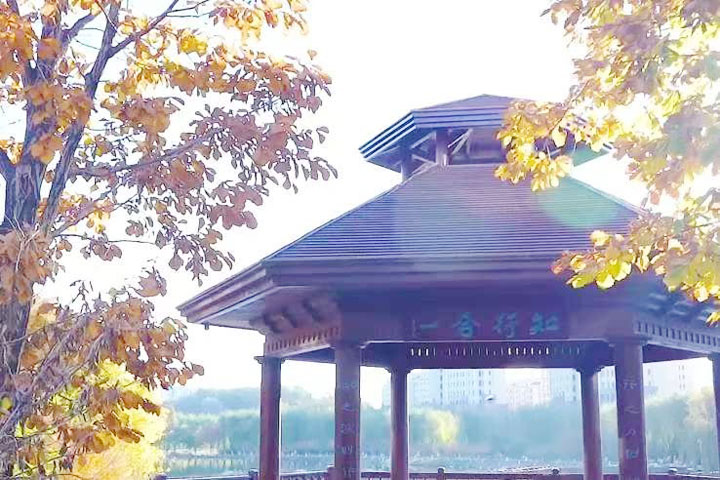 大连外国语大学SQA3+1国际本科